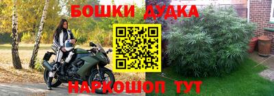 крисы Партизанск