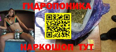 крисы Партизанск