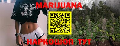 крисы Партизанск