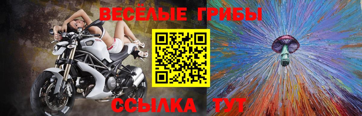 Псилоцибиновые грибы Psilocybine cubensis  Вход с VPN  Севастополь 
