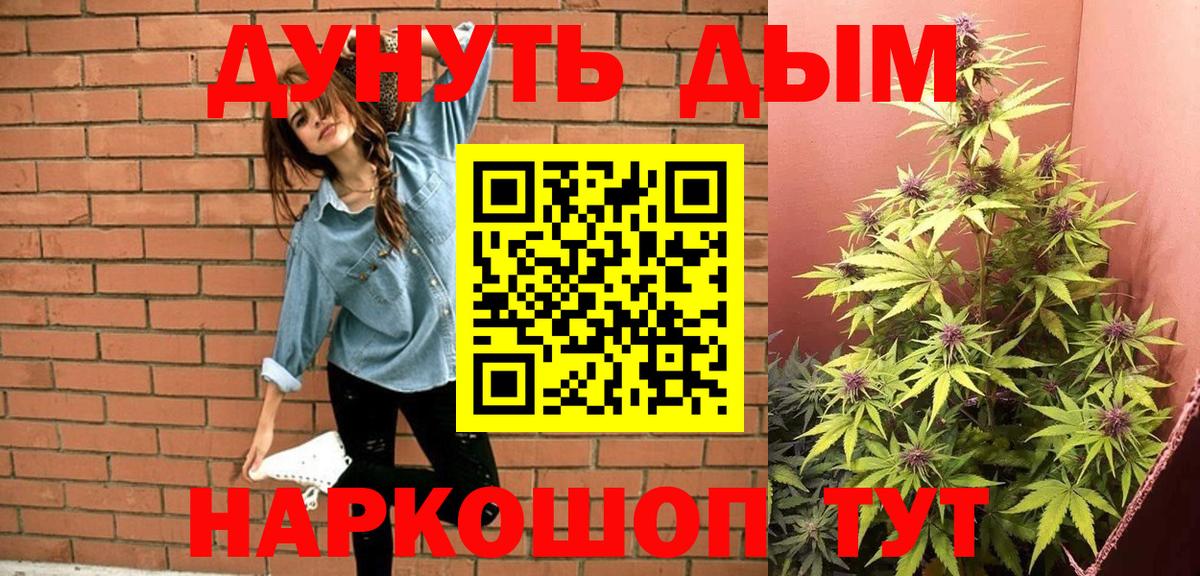 Каннабис сатива Севастополь
